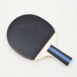 Wholesale pingpong rackets 0656