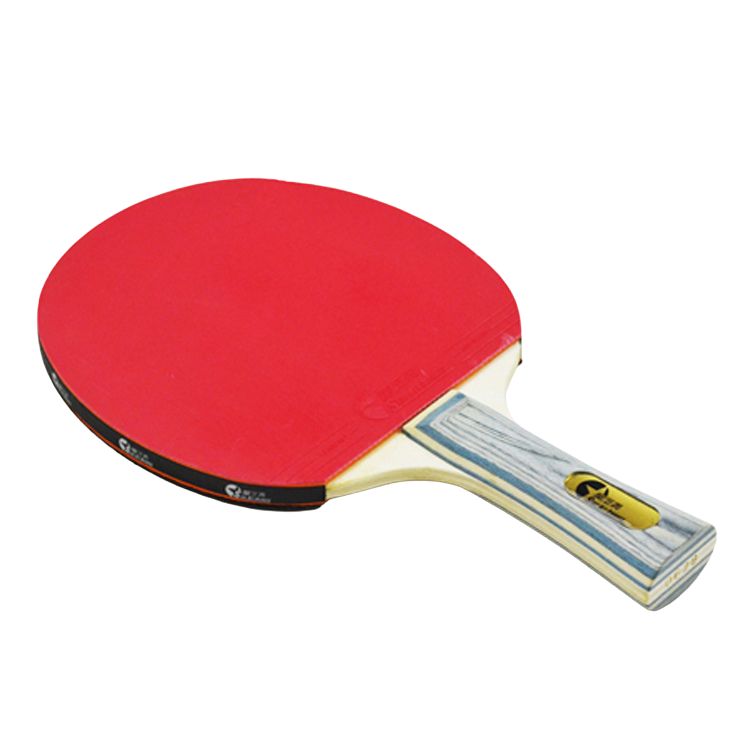 Custom OEM High performance logo table tennis bats, Table Tennis Racket Set, Training Recreational Racquet Kit