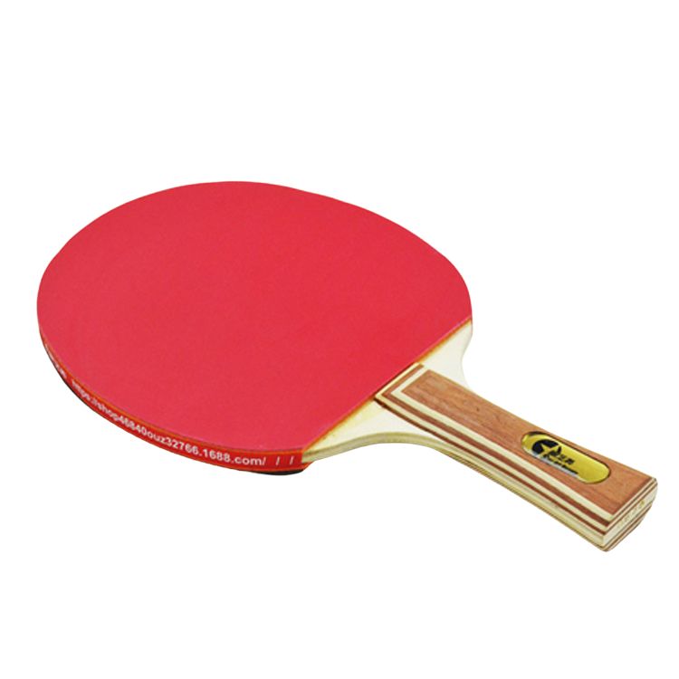 Customized logo Wholesale factory performance-level pingpong paddle set, Enhance Your Game & Win More Matches