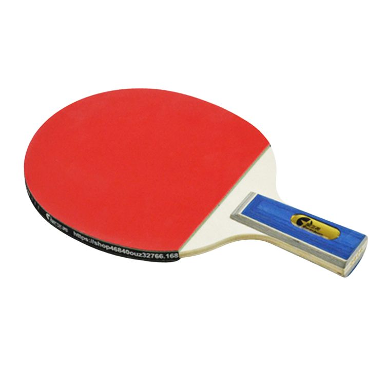 Manufacturers Provide Portable table tennis racket set, Ping Pong Paddle Set of 2, 3 Balls, Competitive Table Tennis Racket for Family Fun