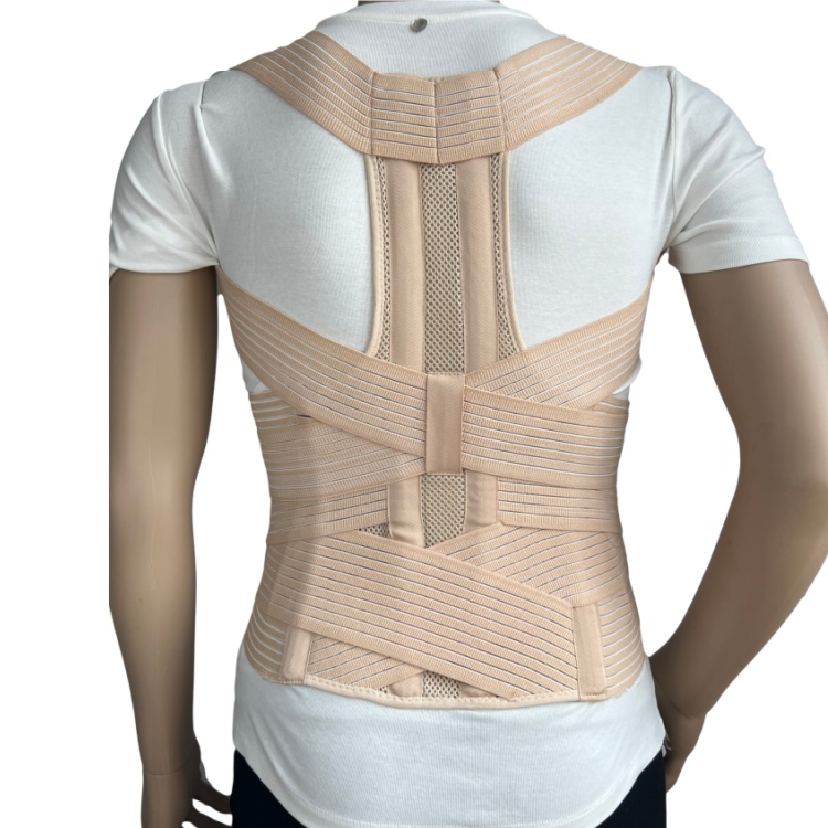 Factory Direct Adjustable Back Brace Posture Corrector OEM Custom Logo 6120